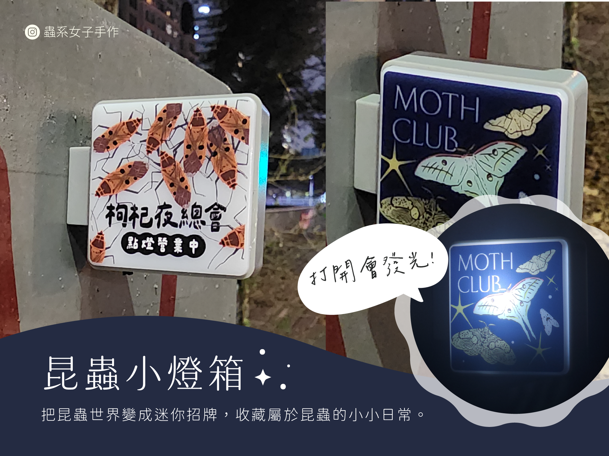 蟲系女子手作 — 昆蟲小燈箱，夜間會發光的迷你招牌